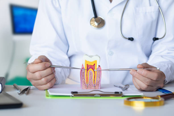 Best Weekend Emergency Dentist in Merrifield, VA